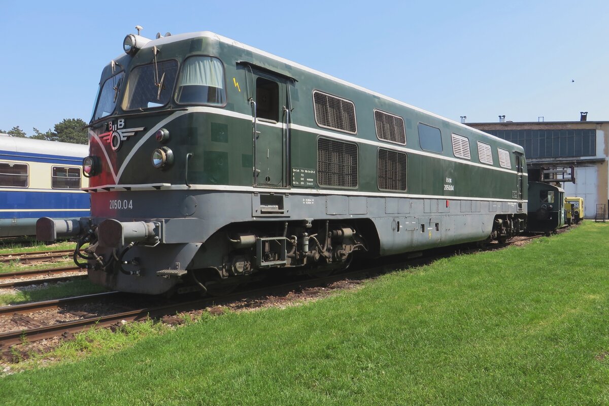 Ex-ÖBB 2050.04 wurde vom Froschblick ins Heizhaus Strasshof fotografiert während die Dieseltage am 21 Mai 2023 -der rechtsoben passierender Vogel hat sich ein anderer Perspektiv gewöhnt.
