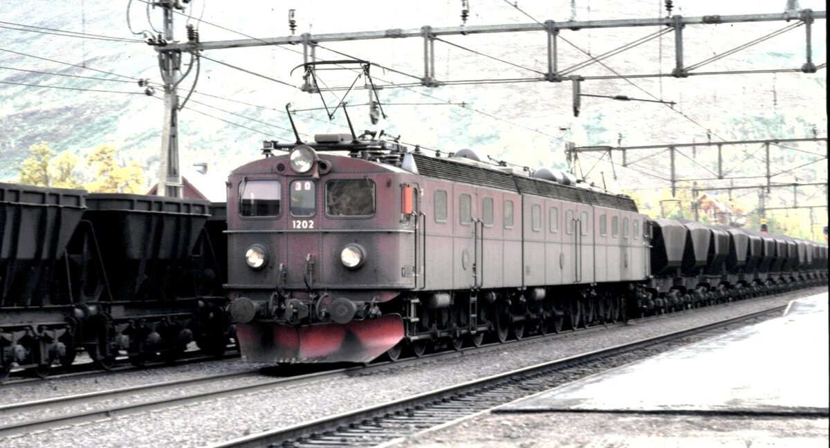 Foto von Kenth Öhlin in Sammlung von Karl Sauerbrey: SJ Dm 3 Nr.1202 mit Erzzug bei Björkliden im September 1982.