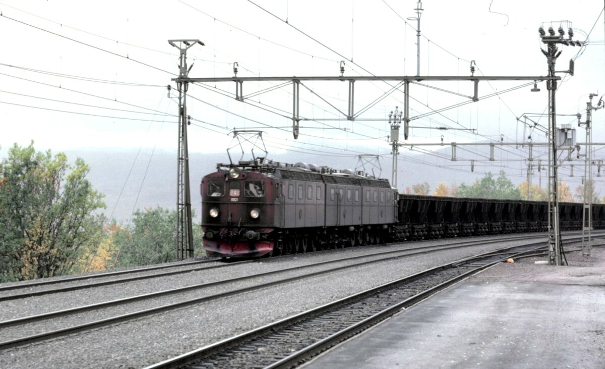 Foto von Kenth Öhlin in Sammlung von Karl Sauerbrey: SJ Dm 3 Nr.1211 mit Erz-Leerzug bei Björkliden im September 1982.