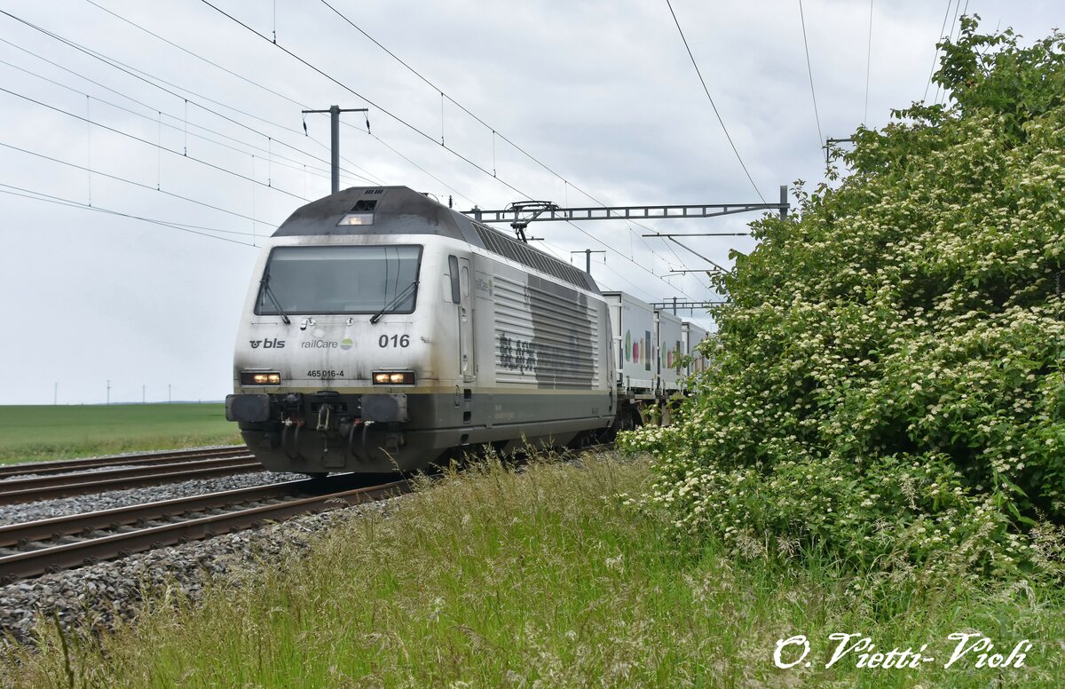 Français
Re 465 016 [Black Pearl]
Ici à Allaman
Le 30 Mai 2016

Allemand
Re 465 016 [Schwarze Perle]
Hier in Allaman
30. Mai 2016