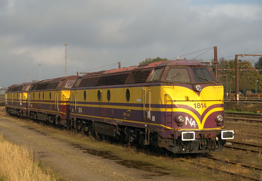 Frisch aus Padborg, die Anfang der Woche angelieferten CFL Loks 1814-3,1816-8 und 1820-0 aufgenommen im Gbf Padborg. 03.11.2012