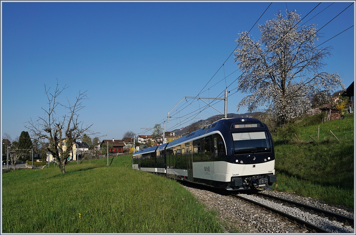 Frühling in St-Légier; inzwischen gehören die GTW ABeh 2/6 zum gewohnten Bild.
3. April 2017