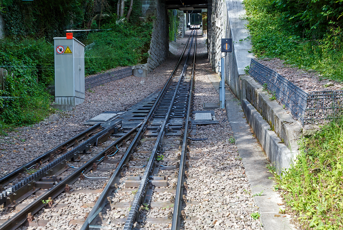 Gleis der Dolderbahn hier am 06.06.2015 an der Ausweichstelle. 

Im Vordergrund sieht man sehr gut die Schwenkweiche, Schleppweiche oder auch Schiebeweichen (Federweiche) mit dem Zahnstangensystem „von Roll“. Die von der Firma Von Roll (heute Tensol) entwickelte Zahnstange ist nur dem Namen nach eine Lamellenzahnstange, nämlich eine einlamellige. Sie hat dieselbe Zahnteilung (100 mm) wie die Riggenbach'sche und die Strub'sche Zahnstange (aus welcher sie auch entwickelt wurde). Von letzterer unterscheidet sie sich nur in der Grundform, einfaches Breitflach-Profil anstatt einer Keilkopfschiene ähnliches Profil. Die von Roll Zahnstange kommt in erster Linie bei Neubauten sowie als preisgünstiger Ersatz alter Zahnstangen nach den Systemen Riggenbach oder Strub zur Anwendung. Sie ist zwar dicker (30–80 mm, je nach Zahndruck) als eine der Lamellen nach Abt, doch ihre Biegsamkeit ist ausreichend, um flexibler als die Originale nach Riggenbach oder Strub anwendbar zu sein. Sie kann auch durchgehend verschweißt werden. So sind auch diese Schwenkweichen einfach machbar.

Bei der Schiebeweiche wird ein Teilstück der gesamte Fahrbahn (ganze Gleises mit Zahnstange) verschwenkt bzw. verbogen, es gibt beim herkömmlichen Zweischienengleis keine durchlaufenden Außenschienen. Die Weichenzungen sind hier gerade und an der Weichenspitze beweglich gelagert, die Stellvorrichtung liegt am inneren Ende der Weichenzunge und verschiebt die Schienen und Zahnstange auf den geraden oder den abzweigenden Strang. Anstelle eines Herzstückes haben Schleppweichen, die von Fahrzeugen mit Spurkranzrädern befahren werden, ein drehbares Schienenstück, welches in den zu befahrenden Schienenstrang gedreht wird.

Die ersten Eisenbahnweichen waren Schleppweichen. Da sie insbesondere bei höheren Geschwindigkeiten nicht betriebssicher waren, wurden sie bei den Eisenbahnen bald durch andere Bauformen ersetzt. Ihr Einsatzgebiet sind heute meist noch Bergbahnen, die aus Sicherheitsgründen über doppelte Spurkränze verfügen oder mit Zangenbremsen ausgestattet sind. Ein bekanntes Beispiel dafür sind die Rigi-Bahnen.

Seit 1999 setzen die Rigi-Bahnen neu entwickelte, als Federweichen bezeichnete Zahnstangenweichen ein, in welchen das Gleis von der einen Endlage in die andere entlang einer definierten Kurve gebogen wird. Die Konstruktion hat weniger bewegliche Teile als eine übliche Zahnstangenweiche und benötigt keine Weichenheizung.