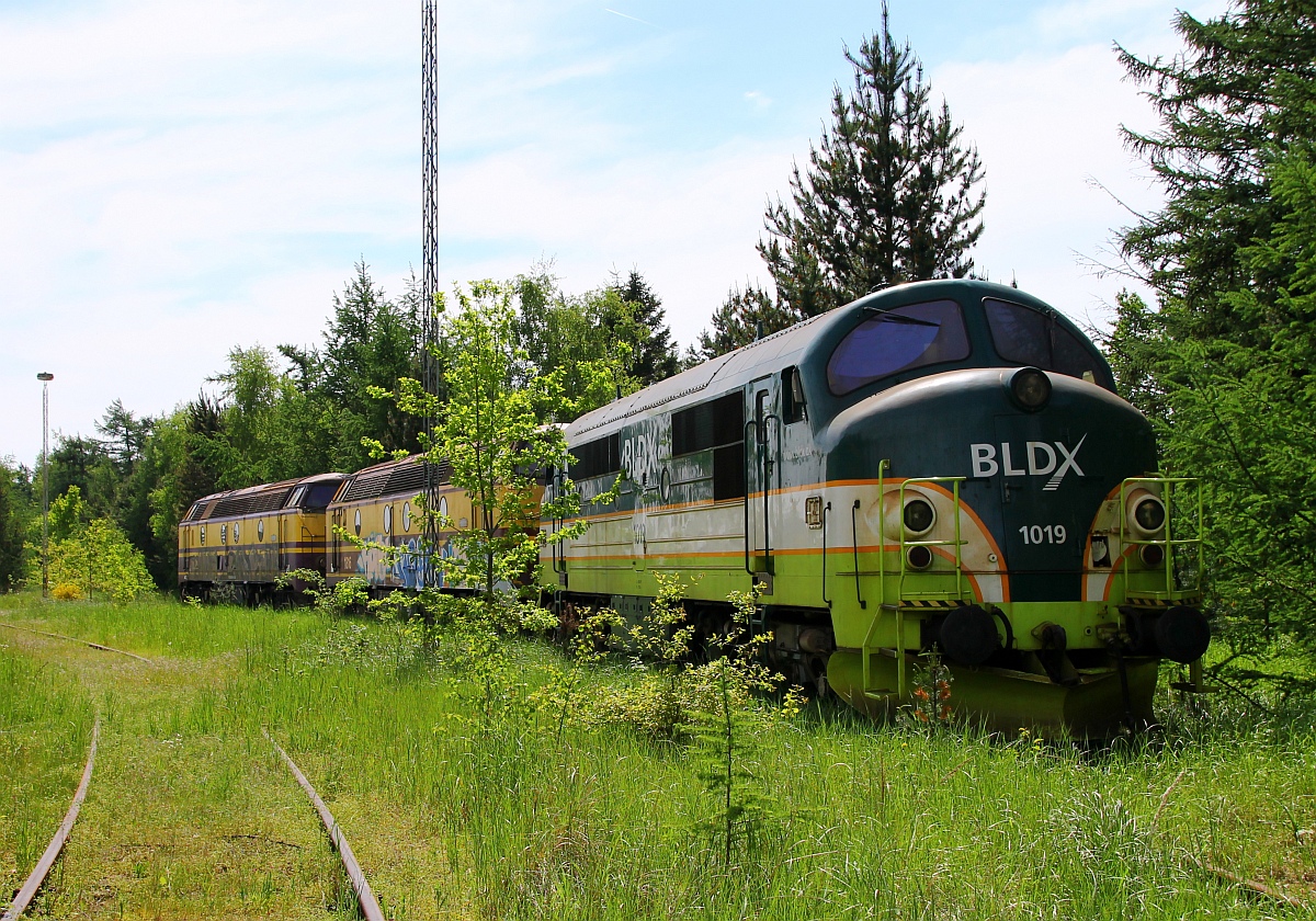 Gut versteckt mit wenig Aussicht auf baldige Einsätze stehen die BLDX Litra MX 1019, die CFL Cargo 1816 und die 1820 weit ab vom Regelverkehr abgestellt in einem kleinen Wald in Padborg. 18.05.2014