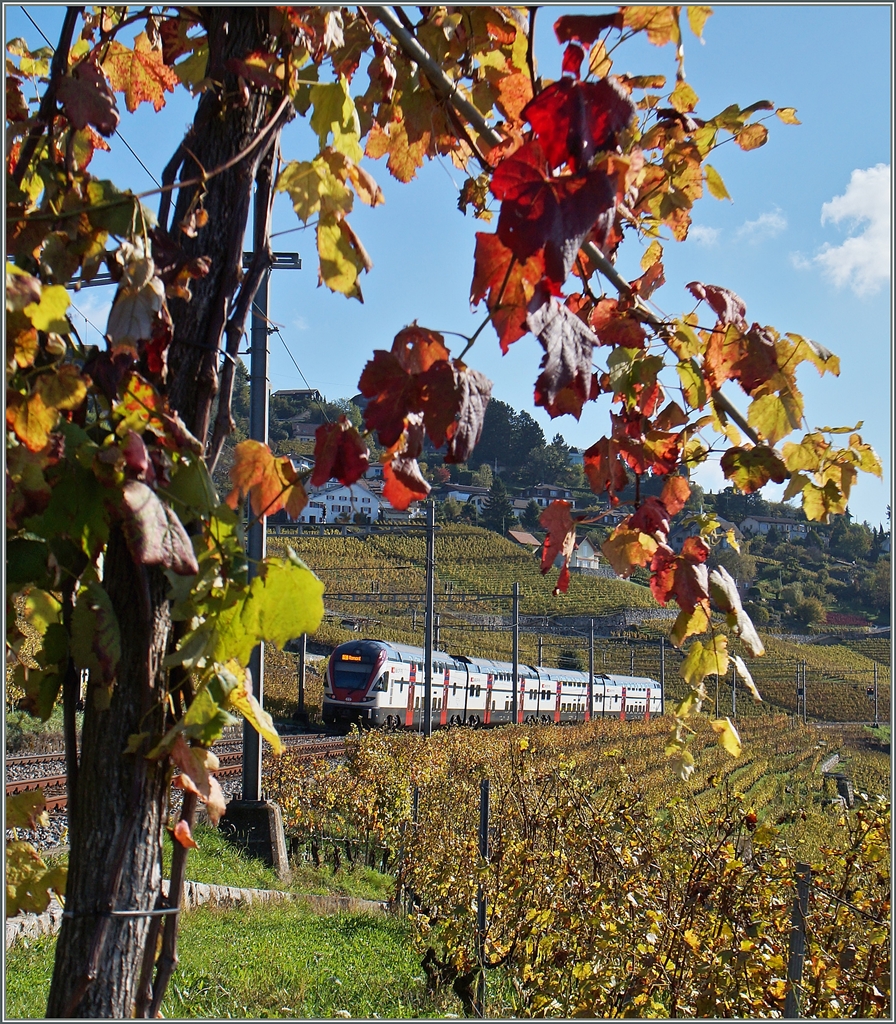 Herbst im Lauvaux: ein RABe 511 auf dem Weg nach Romont bei Grandvaux. 
23. Okt. 2014