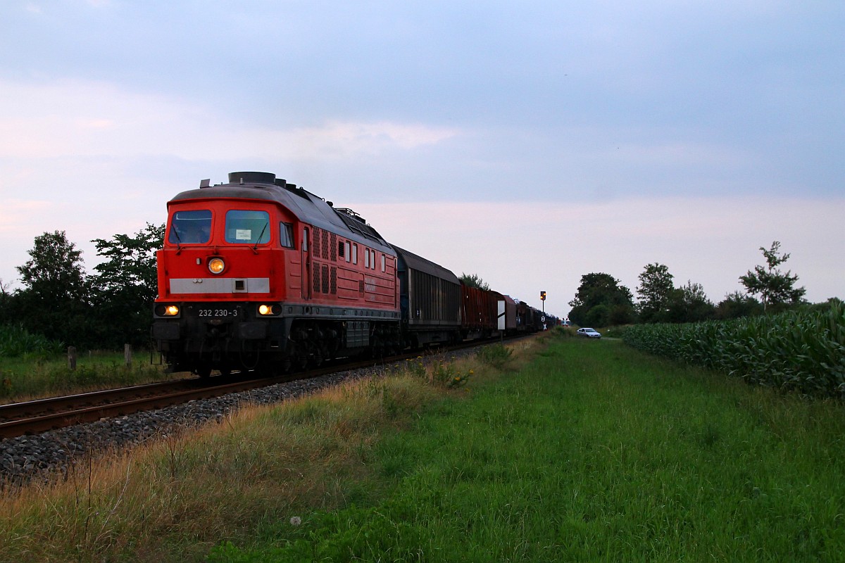 MBU 2014: DB 232 230-3 Sollbr�ck II 17.07.2014