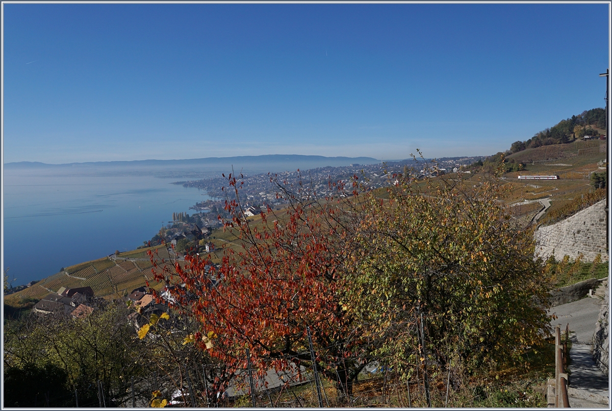 Nach sieben Wochen Vollsperrung sollten am Montag, den 27 Aug. auf der Strecke Lausanne Puidoux-Chexbres wieder Züge verkehren, es wird dann interessant sein, festzustellen, was die Bauarbeiten angerichtet haben.
Das Bild zeigt einen in der Ferne zu sehenden SBB Domino zwischen Grandvaux und Bossière ma 26. Okt. 2017