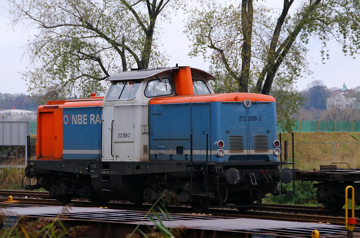 NBE Rail 212 058-2(REV/LSX/04.10.11)abgestellt am Euro Terminal in HH-Dradenau. 02.11.2013