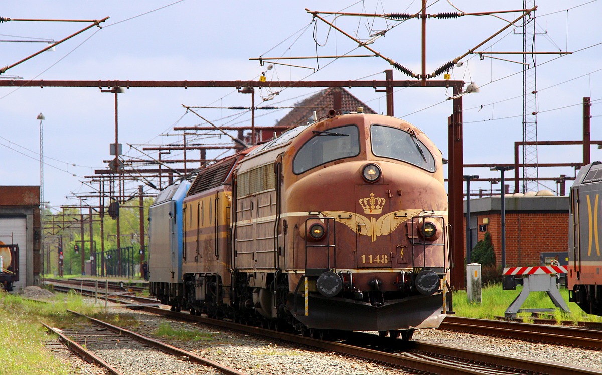 NEG/SRS MY 1148 und CFL 1831 rangieren die ATLU 185 519 in den deutschen Strombereich. Pattburg 13.05.2022