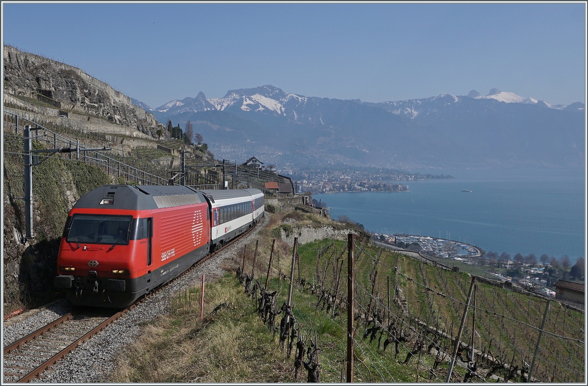 Noch einmal die SBB Re 460 103-5  Heitersberg  mit ihrem RE 30268 von St-Maurice nach Genève Aéroport zwischen Vevey und Chexbres kurz vor der Einfahrt in den 20 Meter langen Salanfe Tunnel oberhalb von St-Saphorin. 

20. März 2022