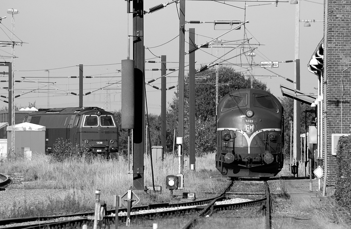 Railcare/NEG MZ 1439 wurde soeben abegstellt und die CFL Cargo MX 1029 wurde gerade betankt, das Ganze festgehalten in s-w. Padborg/DK 03.10.2013
