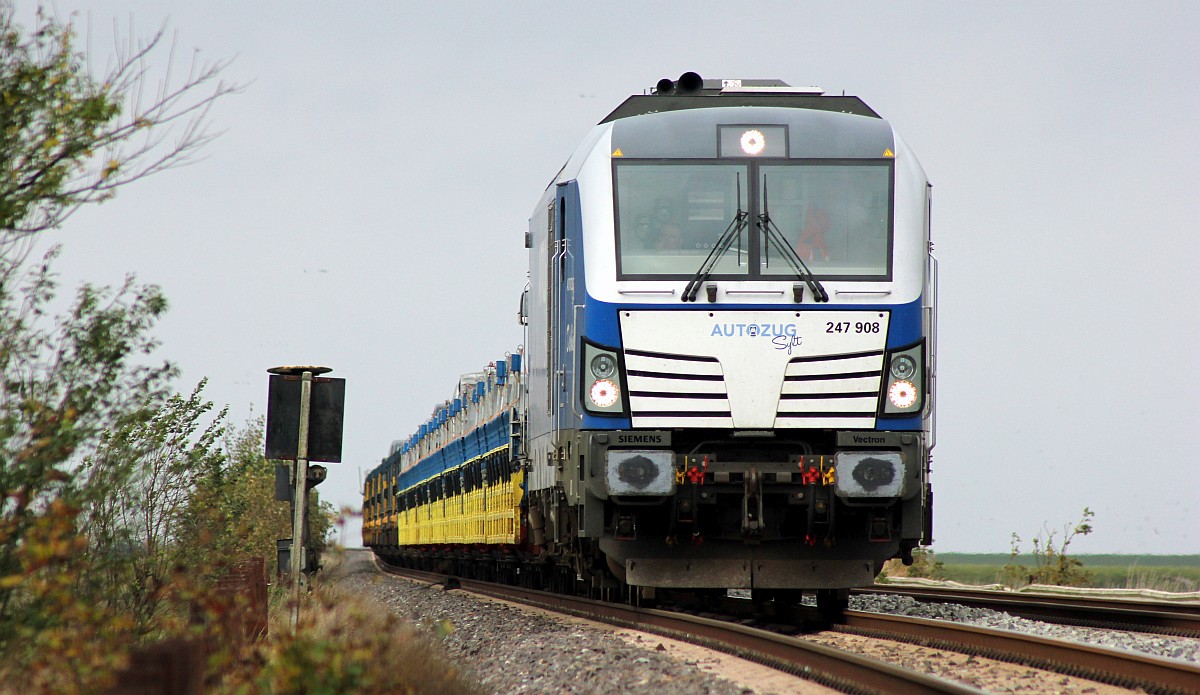 RDC 247 908 mit AZS nach Nieb�ll, Dreieckskoog/Klanxb�ll 19.10.19 (08700)