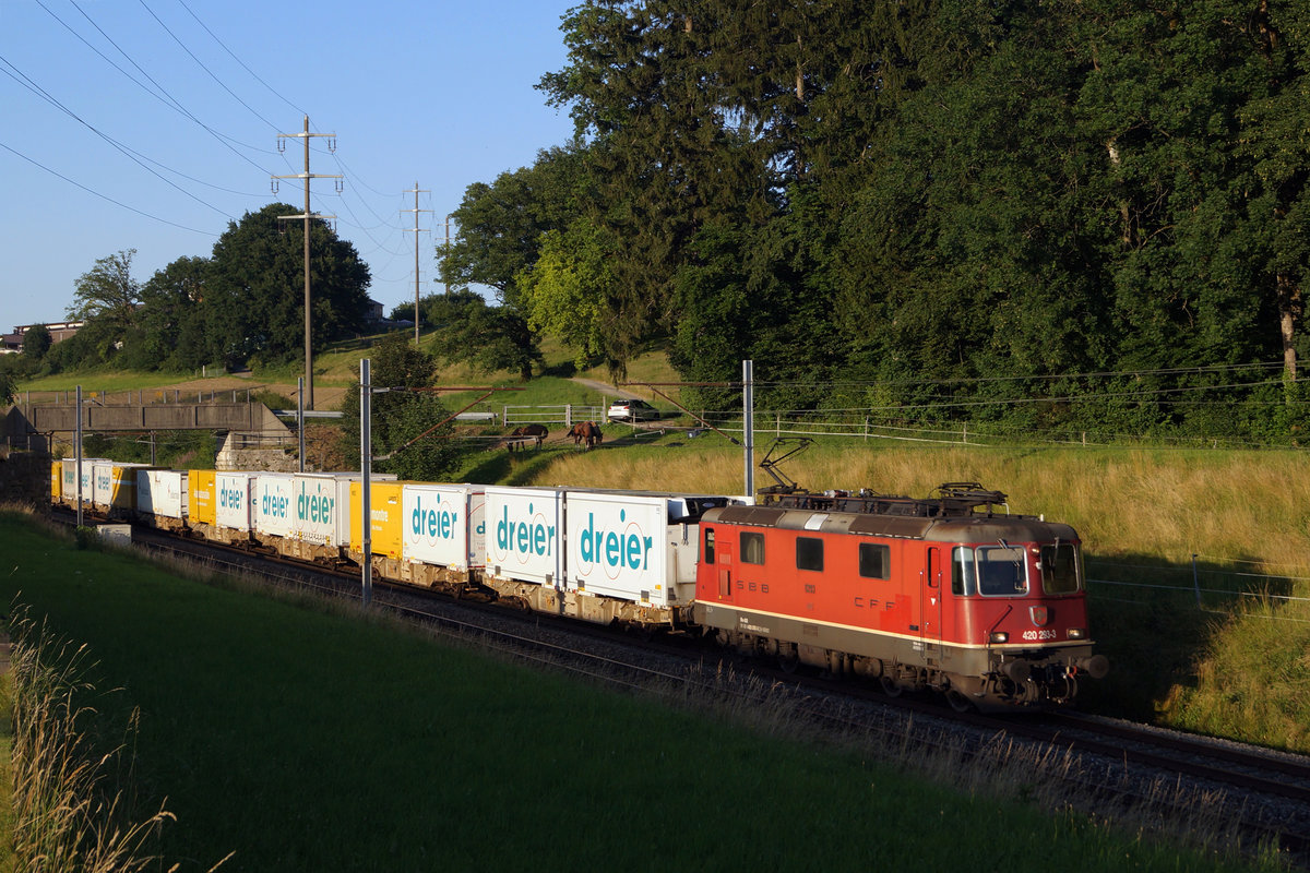 Re 420 293-3 mit einem Postzug nach Daillens im letzten Abendlicht bei Niederdbipp am 24. Juni 2020.
Foto: Walter Ruetsch