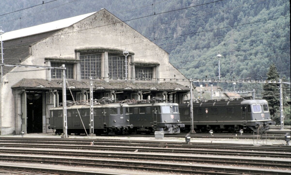 SBB Ae 4/6 Nr.10 808 und Ae 6/6 und Re 6/6 in Erstfeld am 15.08.1980.