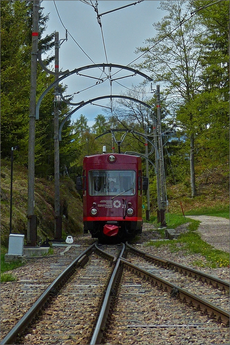 Triebzug 21 der Rittnerbahn, (ex Trognerbahn), n�hert sich der Kreuzungsstelle Lichtenstern (Stella). 15.05.2019 (Hans) 