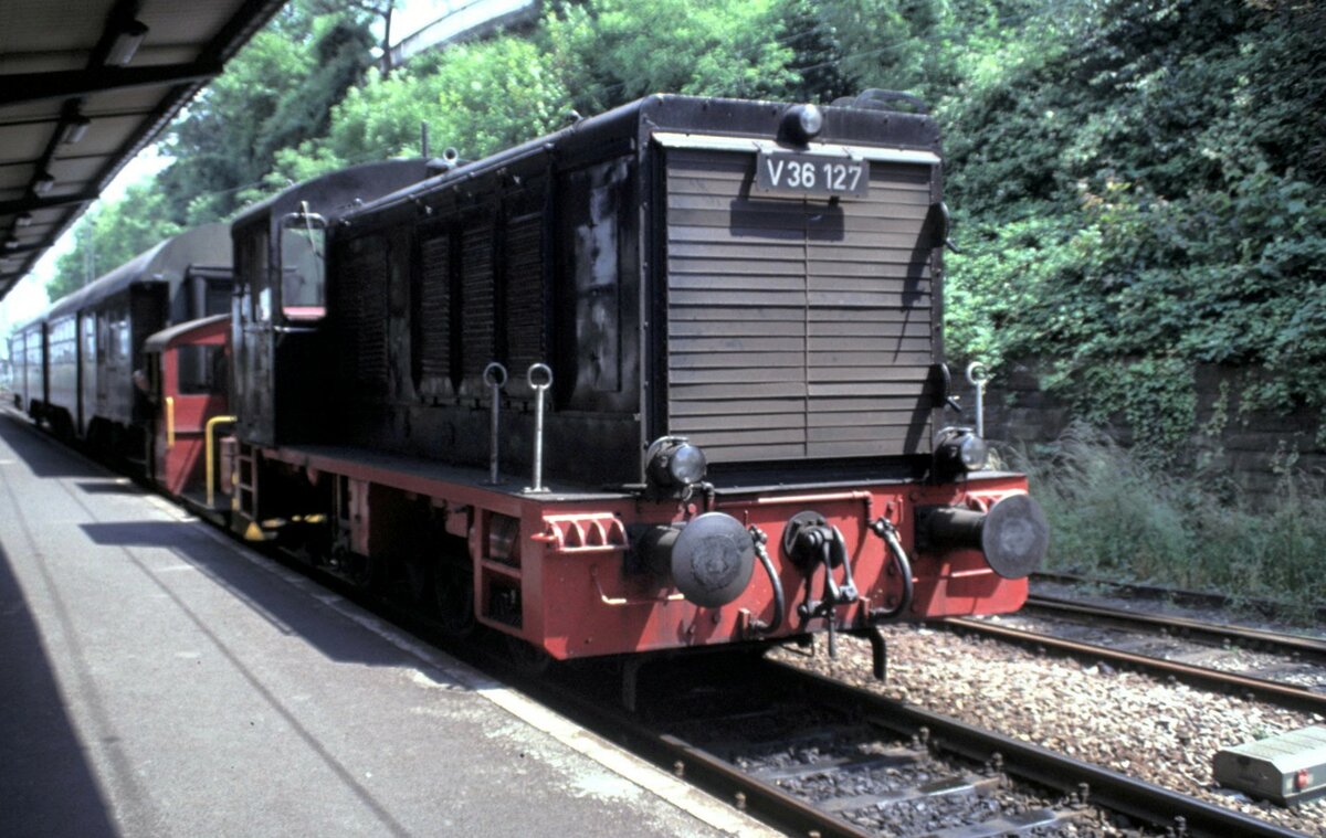 V 36 127 in Neustadt/Weinstrasse im Juni 1994.