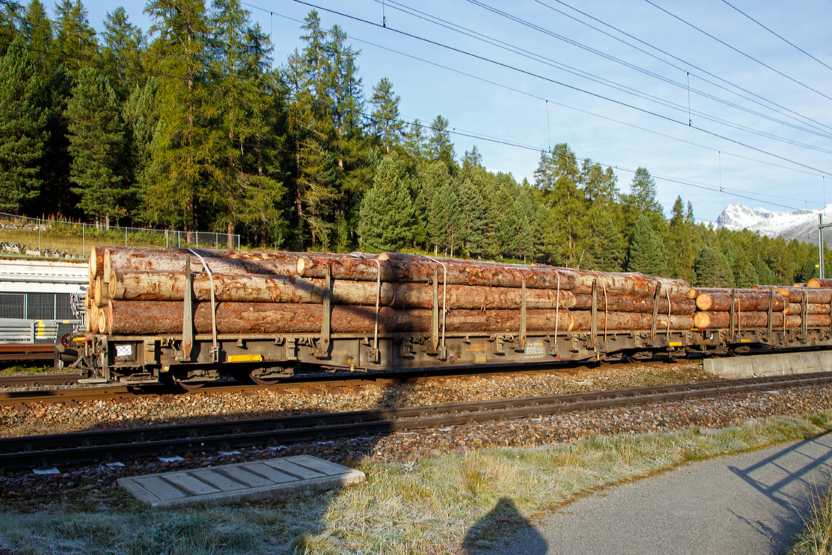 Vierachsiger RhB Kombi-Flachwagen mit Klapprungen, f�r den Transport von ACTS-Container wie auch f�r Rundholz-Transporte, R-w 8203, abgestellt am 14.09.2017 in Pontresina.

Zur Deckung des steigenden Bedarfs an ACTS-Tragwagen beschaffte die RhB 1990/1991 die R-w 8202-8218. Um sie neben f�r Container auch universell f�r den Holztransport nutzen zu k�nnen, r�stete man sie zus�tzlich mit Drehrungen und Spanngurtsystemen aus.

Spezifikationen ACTS-Bahnwagen Typ �R-w�
Typenbezeichnung:  R-w
Wagennummern:  8202 – 8218
Spurweite: 1.000 mm
L�nge �ber Puffer: 16.540 mm 
Ladel�nge: 14.900 mm
Ladebreite:  2.540 mm
Drehzapfenabstand: 11.000 mm 
Achsabstand im Drehgestell: 1.400 mm
Eigengewicht: 18.470 kg
Ladegewicht:  33 Tonnen
H�he ab Schienenoberkante: 955 mm
