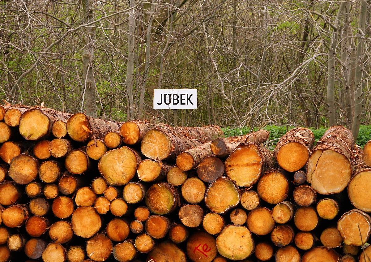 Vor lauter Holz sieht man den Bahnsteig nicht mehr...Jübek 10.04.2014
