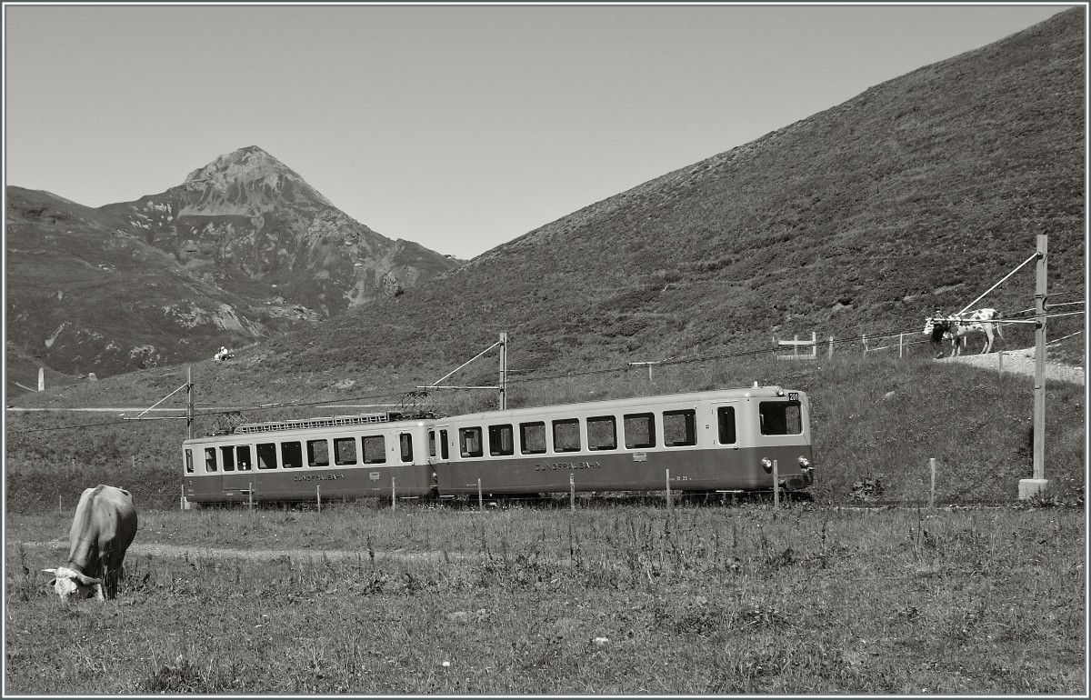 Wie vor einigen Jahren: Ein JB Pendelzug auf seiner Fahrt zum Jungfraujoch oberhalb der Kleinen Scheidegg.
21. August 2013