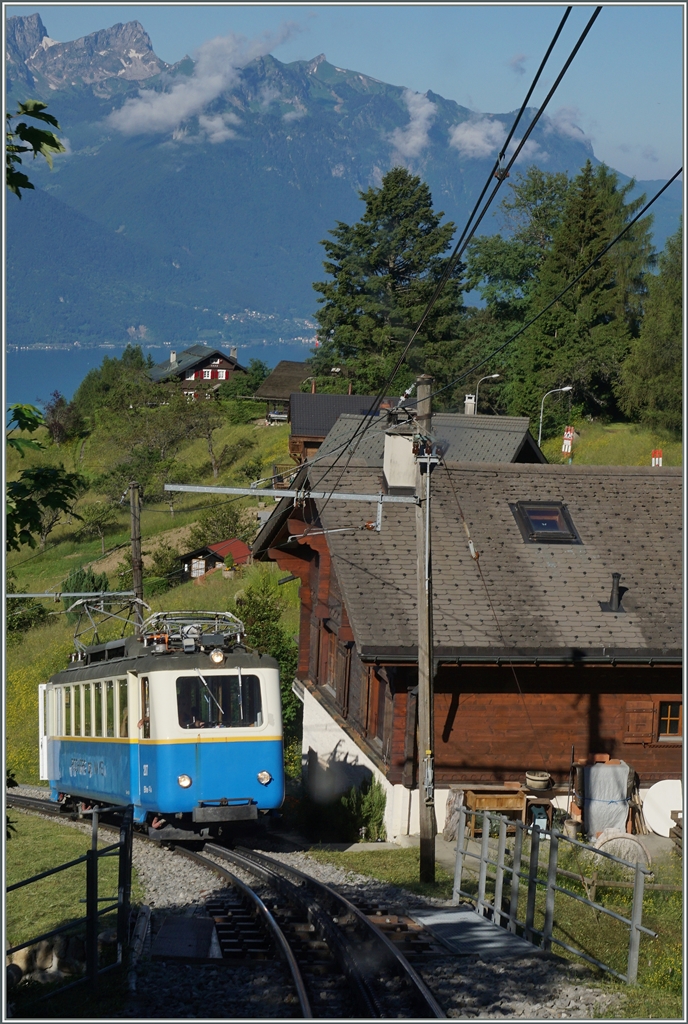  Zugsverfolgung  einmal anders: oberhalb von Caux holte der fast achtzig jährigen Bhe 2/4 207 den weitaus jüngeren Bhe 4/8 303 fast ein.
Letztgenannter war meine  Fotostelle .
28. Juni 2016