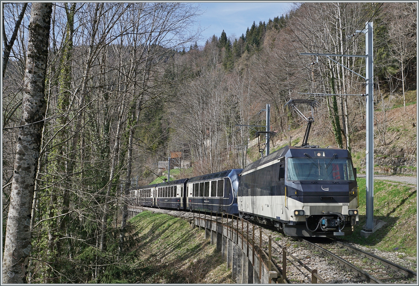 Auf der Suche nach einer geeignete Fotostelle für den Golden Pass Express GPX bin ich auf diese hier zu sehende Stelle gestossen: Zwischen Sendy-Sollard und Les Avants fährt die MOB Ge 4/4 8002 mit dem GoldenPass Express GPX 4074 von Montreux nach Interlaken Ost durch den noch kahlen Wald. 22. März 2024 