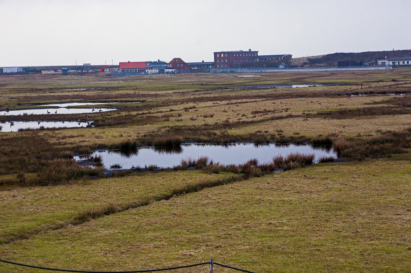 Blick zum Bahnhof Wangerooge Westen (hinten rechts) am späten Nachmittag des 12 März 2024.

Bei Bedarf werden Fahrten über Saline zum Bahnhof Westen durchgeführt, die seit Juni 2010 auch für den öffentlichen Verkehr freigegeben sind und meist der Anbindung der dortigen Schullandheime dienen. Damit ist die Bahnverbindung auf Wangerooge die einzige deutsche Inselbahn mit Zweigstrecke. Die Strecke geht vom Bahnhof (nach links) weiter bis Anschlussgleis zum Bauhof des Wasser- und Schifffahrtsamtes.

Vorne in den Wiesen die vielen runden Wassertümpel (Biotope) sind eigentlich Bombentrichter aus dem Zweiten Weltkrieg. Während des Zweiten Weltkrieges war Wangerooge von hoher strategischer Bedeutung, da die Insel im Mündungsbereich der Weser und in der Nähe der damals kriegswichtigen Stadt Wilhelmshaven liegt. Am 25. April 1945 kam es zu einem schweren Luftangriff auf Wangerooge mit erheblichen Bombardierungen. In nur etwa fünfzehn Minuten fielen in drei Angriffswellen über 6.000 Sprengbomben (227 kg und 454 kg Bomben), die eine Kraterlandschaft hinterließen. Dabei wurden auch die Strecke zwischen Saline und Dorf, die Bahnhofshalle sowie zahlreiche Personen- und Güterwagen zerstört.

