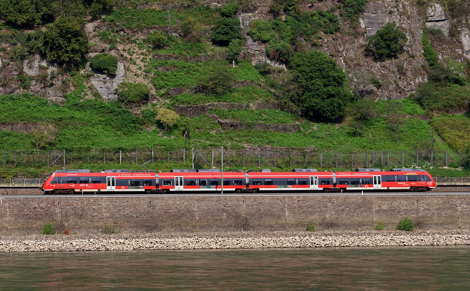 DB Regio Werdenfelsbahn 442 218/518  Bad Bayersoien  unterwegs Richtung Bingen. Kestert 14.08.2025