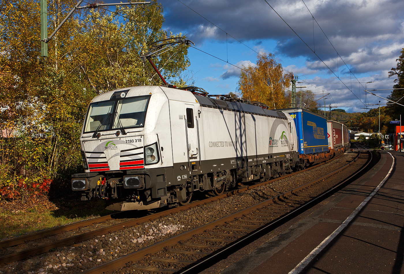 Die recht neue wei�e TXL 7193 318 „Connected to Nature“ (91 80 7193 318-1 D-TXL) der TXL - TX Logistik AG (Troisdorf) f�hrt am 30 Oktober 2025 mit einem KLV-Zug durch Scheuerfeld/Sieg in Richtung K�ln. Als Schlussl�ufer war am Zugschluss zudem die kalte, an die HSL Logistik GmbH vermietete, AKIEM 186 383-6.

Nochmals einen lieben Gru� an den netten Lokf�hrer zur�ck.

Die SIEMENS Vectron MS (X4E) wurde 2024 von Siemens Mobility in M�nchen-Allach unter der Fabriknummer 24282 gebaut und am 24.01.2025 an die TXL ausgeliefert. Die mit 6.400 kW konzipierte Mehrsystemlok ist in der Variante A22-11i ausgef�hrt und hat so die und hat so die Zulassungen und entspr. L�nderpakete f�r Deutschland, �sterreich, Schweiz, Italien und die Niederlande (D / A / CH / I / NL).

�ber TX Logistik AG
TX Logistik wurde 1999 als privates Eisenbahnverkehrsunternehmen gegr�ndet und bietet mit Verbindungen in elf L�ndern ein leistungsf�higes europ�isches Netzwerk. Das Unternehmen verf�gt �ber Tochtergesellschaften in der Schweiz, �sterreich, D�nemark und Schweden sowie eine lokale Pr�senz in Italien. In den Gesch�ftsbereichen Intermodal und Rail Freight entwickelt TX Logistik umfassende Schienenl�sungen f�r kontinentale und maritime Verkehre sowie ma�geschneiderte Konzepte f�r konventionelle Fracht. Mit 650 Mitarbeitern und 8,6 Milliarden gefahrenen Tonnenkilometern erwirtschaftete das Unternehmen 2021 einen Jahresumsatz von 253 Millionen Euro. Seit Januar 2017 geh�rt TX Logistik zu 100 Prozent der Mercitalia Logistics S.p.A., einer Tochtergesellschaft der FS - Ferrovie dello Stato Italiane. Mittlerweile geh�rt das Unternehmen mit zu den Gr��ten f�r den Schieneng�terverkehr in Europa.

Das Unternehmen bietet den ganzen Umfang an Schieneng�terverkehr, inklusive Containertransport und kombiniertem Verkehr an. Wichtigste Transportstrecken sind von den H�fen Hamburg, Bremerhaven, Rotterdam und Antwerpen nach S�ddeutschland, Schweiz, �sterreich und Italien.

TX Logistik setzt nun auf eigene Vectron Loks:
Anfang Oktober 2024 hat die TX Logistik AG ersten drei von 40 modernen Vectron-Lokomotiven des Herstellers Siemens Mobility aufs Gleis gesetzt, die das zur Mercitalia Logistics (FS Italiane Group) geh�rende Schienenlogistikunternehmen im Mai 2023 bestellt hatte. Die Erweiterung der Fahrzeugflotte ist f�r TX Logistik eine wichtige Voraussetzung, um im intermodalen und grenz�berschreitenden Schieneng�terverkehr weiter zu wachsen. Die neuen Lokomotiven werden vor allem auf dem Brenner- und dem Schweiz-Korridor eingesetzt, den strategisch wichtigen Nord-S�d-Achsen in Europa.

Beide Korridore sind stark frequentiert und stellen hohe Anforderungen an die eingesetzten Lokomotiven – von der Zugkraft �ber die Stabilit�t bis hin zur grenz�berschreitenden Systemkompatibilit�t. TX Logistik hat dazu die Maschinen mit verschiedenen L�nderpaketen bestellt. 20 Vectron erhalten das L�nderpaket f�r den Betrieb in Deutschland, �sterreich, Schweiz, Italien und den Niederlanden (D-A-CH-I-NL) und sollen bis Anfang 2025 �bergeben werden. Die Auslieferung der 20 Lokomotiven mit der Ausstattung f�r den deutsch-�sterreichisch-italienischen Korridor (D-A-I) soll bis zum Jahresende 2025 erfolgen.

Die Entscheidung f�r den Kauf der Vectron-Lokomotiven unterstreicht zugleich das Bestreben von TX Logistik, Schieneng�terverkehre als umweltfreundliche und effiziente Alternative zum Stra�entransport weiter voranzutreiben. Um dies zu unterstreichen und gleichzeitig f�r den Einstieg in den intermodalen Transport zu werben, hat die erste der drei Vectrons, die im Zughotel in Braunschweig �bergeben wurden, eine spezielle Lok-Beklebung mit dem Schriftzug „Start now (Nature). Driven by Green Passion“ erhalten.

Die neuen Loks bieten mit ihrer Flexibilit�t und Leistungsf�higkeit ideale technische Voraussetzungen, um den steigenden Anforderungen des europ�ischen G�terverkehrs gerecht zu werden. Mit der modernen Vectron-Flotte, so TX Logistik, sei man mittelfristig nun in der Lage, die Kapazit�ten auf dem Brenner- und dem Schweiz-Korridor deutlich zu erh�hen sowie die Effizienz und Zuverl�ssigkeit im Schieneng�terverkehr weiter zu verbessern.

