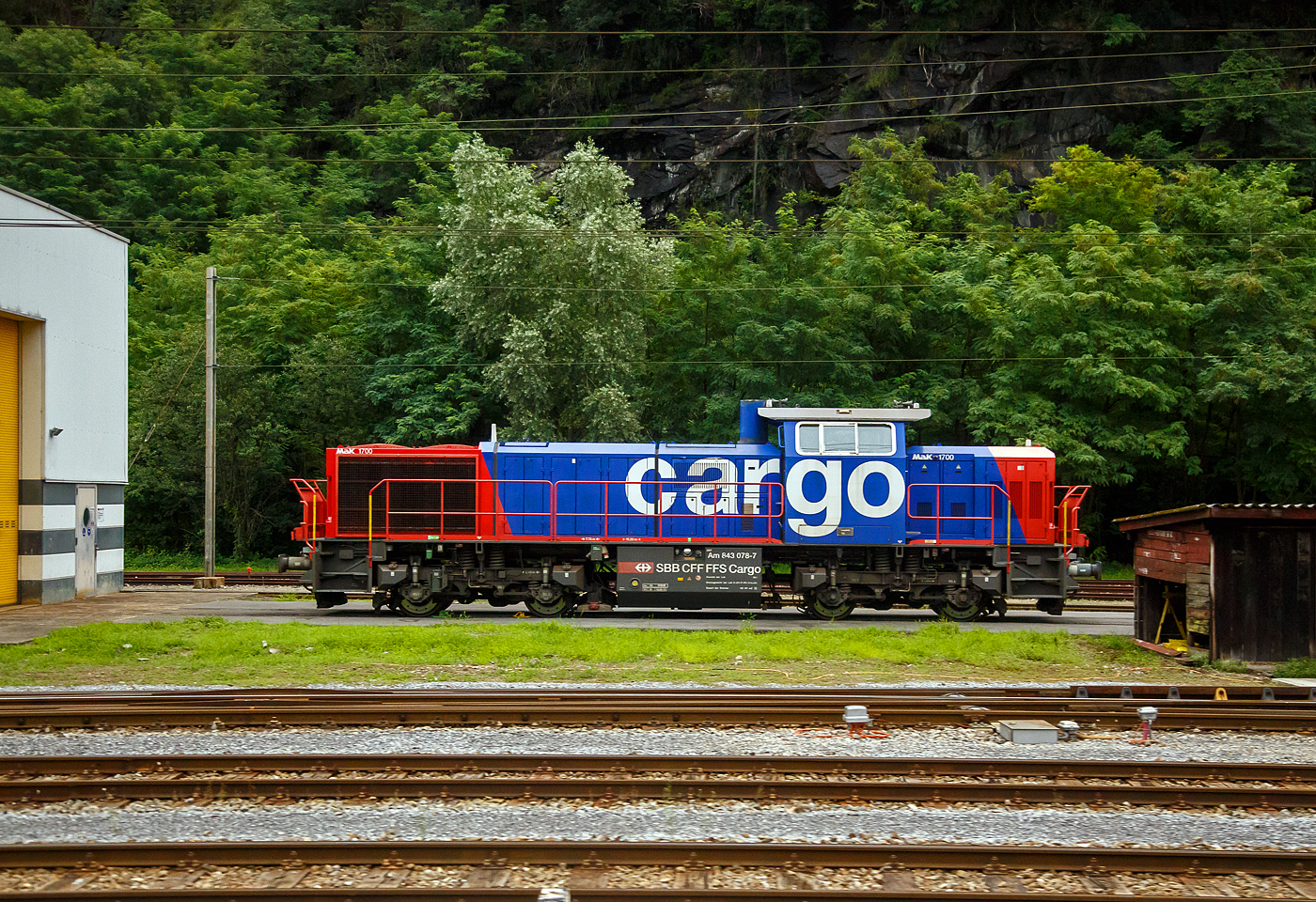 Die SBB Cargo Am 843 078-7 (Am 98 85 5 843 078-7 CH-SBBC, eine für die Schweizerischen Bundesbahnen (SBB) modifizierte Vossloh MaK G 1700 BB, steht am 02 August 2025 in Airolo. 

Die Lok wurde 2004 von der Vossloh Locomotives GmbH in Kiel-Friedrichsort unter der Fabriknummer 1001410 gebaut und an die SBB Cargo AG in Basel geliefert. Im Juni 2023 wurde die Lok von der SBB Cargo an die NRFAB - Nordic Re-Finance AB in Bankeryd (Schweden) verkauft und dann wieder von der SBB Cargo angemietet zu werden. Ob man damit auf lange Sicht wirklich Geld spart wage ich zu bezweifeln. Man gibt doch eher Finanzkräftigen Investoren immer mehr die Möglichkeit mehr Geld anzuhäufen. 

Am 843 für die Schweizerischen Bundesbahnen (SBB):
Die Schweizerischen Bundesbahnen (SBB) bestellten bei Vossloh zunächst 59 Lokomotiven der Baureihe Am 843. Diese Lokomotiven werden im schweren Rangier- und leichten Streckendienst eingesetzt. Dazu gehört neben dem Rangierdienst in den größeren Rangierbahnhöfen und auf Stationen auch der Zustelldienst mit Streckenfahrten im Nahbereich. Ein weiteres Einsatzgebiet für die Lokomotiven besteht im Bau- und Interventionsdienst.

Um die Am 843 für diese sehr unterschiedlichen Aufgaben möglichst gut anzupassen fiel die Wahl auf eine der G1206 sehr ähnliche Maschinenanlage. Das Turbowendegetriebe L 5r4 z wurde in einer Version als Stufengetriebe verwendet. Es besetzt einen Rangiergang mit 40 km/h Höchstgeschwindigkeit und hohen Zugkräften im unteren Geschwindigkeitsbereich, sowie einen Streckengang mit 100 km/h Höchstgeschwindigkeit. Der Motor bleib dagegen der gleiche und leistet unverändert .1500 kW.

Für die übrigen Komponenten bediente man sich bei der Entwicklung der Am 843 jedoch der wesentlich jüngeren G 1700-2 BB, die den hohen Komfortwünschen der SBB gerecht wurden und deutlich mehr Einbauräume für diversen Sonderausrüstungen, z. B. die schweizerischen Zugsicherungen Integra Signum und ZUB 262 ct bietet. Trotzdem unterscheidet sich die Am 843 durch das Linksführerhaus und die für die Schweiz typischen eckigen Lampen und Geländer mit Schutzblechen schon äußerlich deutlich von ihr. Eine weitere Besonderheit ist der Partikelfilter zur Reduzierung des Rußausstoßes, die erstmals bei einer Lokmotive dieser Leistungsklasse in Serie eingebaut wurde.

Im Herbst 2003 begann die Lieferung die ersten Loks. Weitere Lokomotiven der Baureihe Am 843 konnten an andere Bahnen in der Schweiz verkauft werden. Zunächst erhielt das Bauunternehmen Sersa AG im Sommer 2004 drei Lokomotiven, die bei der Ausrüstung des Lötschberg-Basistunnels eingesetzt wurden. Für den gleichen Tunnel, jedoch für den Bau- und Interventionsdienst im regulären Betrieb erhielt die BLS zwei Jahre später ebenfalls drei Am 843. Als Besonderheit erhielten die BLS-Loks die europäische Zugsicherung ETCS, die im neuen Tunnel verwendet wird.

Der Lokrahmen besteht aus Walzträgern und massiven Blechen, welche in Schweißkonstruktion miteinander verbunden wurden. Dadurch entsteht ein stabiler und robuster Grundaufbau, welcher der Lok die notwendigen Festigkeiten verleiht. Im Lokrahmen wurde eine so genannte Umweltwanne montiert, welche aus dem Fahrmotor austretenden Flüssigkeiten (Mineralölen und Wasseremulsionen) auffängt, diese können mit Hilfe eines Ablasshahnes entleert und fachmännisch entsorgt werden.

Der vordere längere Vorbau beinhaltet neben dem Dieselmotor auch die notwendige Kühlanlage und das Antriebsgetriebe. Der kürzere hintere Vorbau enthält neben der Druckluftanlage auch die elektrischen Komponenten wie die Batterieladung.

Zwischen den beiden Vorbauten befindet sich das Mittelführerhaus, welches über die zwei diagonal gegenüberliegenden Eingangstüren betreten werden kann. In ihm sind alle für den Lokführer notwendigen Einbauten vorhanden. Ein Führersitz je Fahrpult und Fahrrichtung, welcher mit Arm- und Rückenlehnen ausgerüstet ist, erlaubt die sitzende Bedienung der Lokomotive. Dieser Führersitz ist drehbar gelagert und kann zusammengeklappt und unter den Führertisch verschoben werden. Dadurch ist auch die stehende Bedienung der Lokomotive ohne Behinderung möglich. Zur Entlastung der Füße sind auch verstellbare Fußstützen montiert. Der Fußboden ist mit einem Profilgummibelag belegt worden, der eine einfache Reinigung und dennoch einen guten Stand erlaubt.

Angetrieben wird die Lokomotive von einem 12-Zylinder-4Takt-Dieselmotor vom Typ Caterpillar 3512 B DI-TA-SCAC, dieser erbringt mit Hilfe der beiden Abgasturbolader und der Ladeluftkühlung eine maximale Leistung von 1.500 KW (2.040 PS). Seine höchste Drehzahl beträgt 1.800 U/min. Er wird mit Hilfe eines elektrischen Anlassers gestartet und ist elektronisch geregelt. Dadurch ist es möglich, den Motor bestmöglich im optimalen Leistungsbereich zu betreiben. Sein Gewicht beträgt mit 322 Liter Schmieröl und 134 Liter Kühlwasser 7.700 kg.

Die vom Dieselmotor erzeugte Leistung wird mittels einer Gelenkwelle auf das hydrodynamische Getriebe (Turbowendegetriebe), vom Typ Voith L5r4zseU2, übertragen. Das Getriebe hat eine maximale Leistung von 1.400 kW. Es beschränkt somit die Leistung der Lokomotive und verhindert zugleich, dass der Fahrmotor überlastet werden kann. Seine maximale Drehzahl ist gleich groß, wie jene des Fahrmotors.

Das Turbowendegetriebe besitzt für jede Fahrrichtung zwei Drehmomentwandler. Dem eigentlichen Wandlergetriebe ist ein mechanisches Getriebe nachgeschaltet, das eine niedrige für den Rangierbetrieb bestimmte Schaltung und eine höhere für den Streckenbetrieb bestimmte Schaltung zur Verfügung zu stellen. Diese Umschaltung darf jedoch erst im Stillstand erfolgen.

Die Achsen in den Drehgestellen werden über Gelenkwellen vom Turbowendegetriebe angetrieben. Die Übertragung auf die Achsen erfolgt mit Hilfe von Stirnradgetrieben mit Kegelradvorgelege.

TECHNISCHE DATEN:
Gebaute Anzahl: 79
Spurweite: 1.435 mm (Normalspur)
Achsformel: B'B'
Länge über Puffer: 15.200 mm
Höhe: 4.220 mm
Breite: 3.080 mm
Drehzapfenabstand: 7.700 mm
Achsstand im Drehgestell: 2.400 mm
Dienstgewicht: 80 t
Höchstgeschwindigkeit: 100 km/h (40 km im Rangiergang)
Installierte Leistung: 1.500 kW (2.040 PS)
Anfahrzugkraft: 249 kN
Treibraddurchmesser: 1.000 mm (neu)
Motorentyp: Caterpillar 3512B DI-TA-SCAC
Nenndrehzahl: 1.800/min
Getriebe:  Voith Typ L 5r4 zseU2 	
Kleinster bef. Halbmesser: 60 m
Tankinhalt: 3.500 l