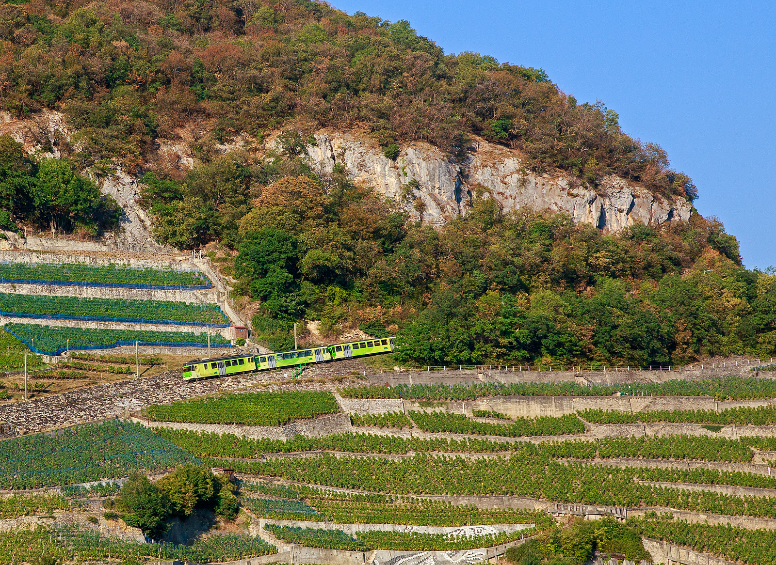 Ein Blick aus dem tpc ASD (Aigle–Sépey–Diablerets) Regionalzug (R 24) Diablerets nach Aigle, der tpc AL (Aigle–Leysin) Regionalzug (R 25) von Leysin nach Aigle fährt am 08 September 2023, fährt oberhalb von Aigle durch die Weinberge. Der dreiteilige AL-Zug bestand aus dem 2. Klasse elektrischen Personentriebwagen mit Gepäckabteil für den gemischten Zahnrad- und Adhäsionsbetrieb AL BDeh 4/4 313 „La Berneuse“, Steuerwagen AL Bt 362 und dem Steuerwagen AL Bt 363. 

Bis zum Keilbahnhof Aigle-Dépôt hat die Strecke hier durch die Rebberge eine Neigung bis zu 230 ‰ (mit Zahnstange im System Abt). Nach einem Richtungswechsel in Aigle-Dépôt (dann sind die Steuerwagen vorne) verläuft die Strecke dann als Adhäsionsbahn (mit bis zu 38 ‰), teilweise dann als Straßenbahn.
