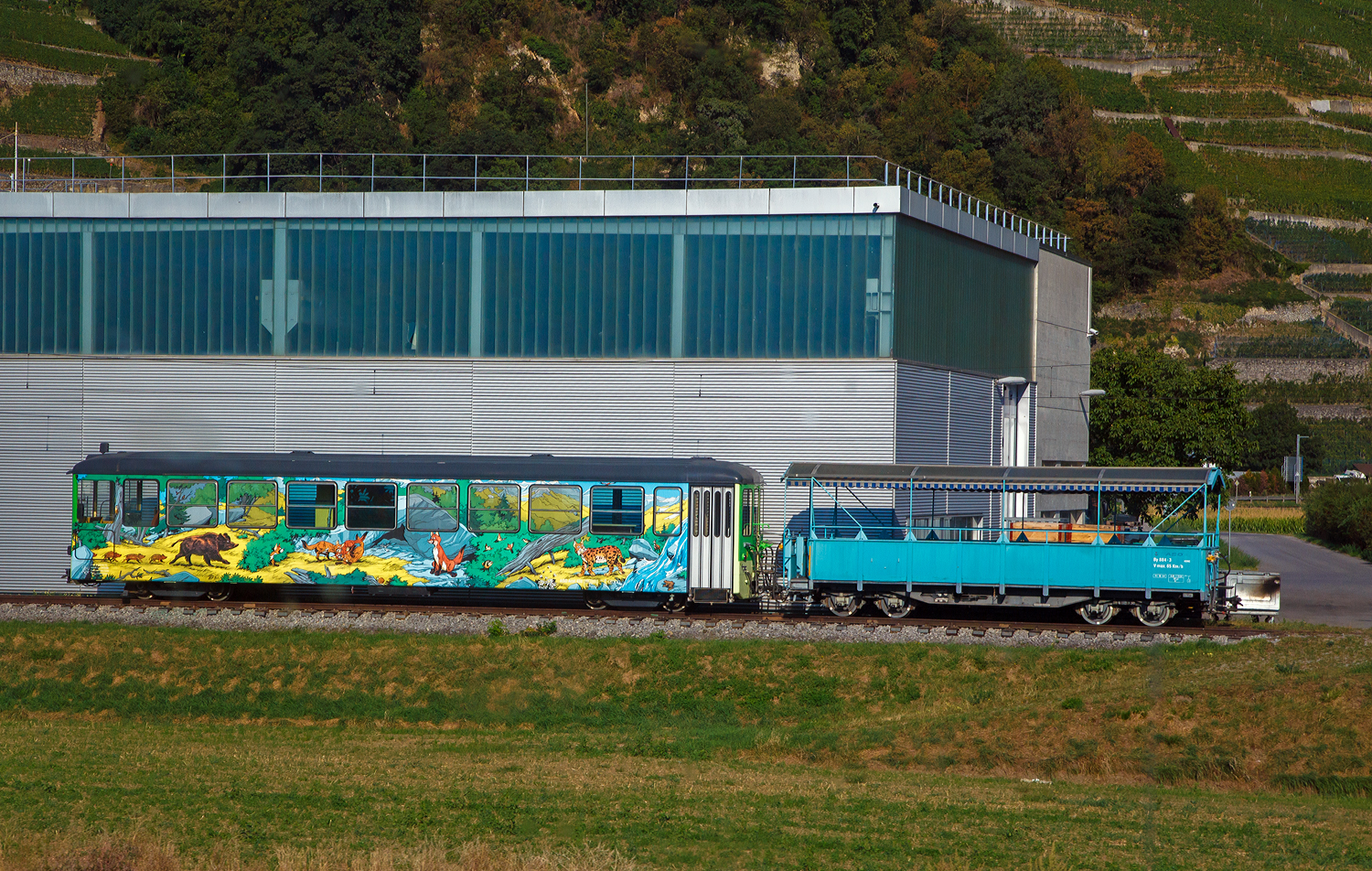 Ein Blick aus dem unserem SBB-Zug beim D�p�t in Ch�lex der TPC - Transports Publics du Chablais (bei Aigle) hier steht am 10 September 2023, von links nach rechts:

Der bunte vierachsige erste Klasse Salonsteuerwagen tpc Arst 433  Chez Rose . Der heutige Salonsteuerwagen wurde 1966 von SWP (Schindler Waggon Pratteln), mit elektrischer Ausr�stung von BBC, gebaut und als einer von 7 Steuerwagen an die Birsigthalbahn-Gesellschaft als BTB Bt 27 geliefert. 

Anl�sslich der Modernisierung des BTB-Rollmaterials und f�r die Bildung von die Betriebsabwicklung stark vereinfachenden Pendelz�gen wurden 1966 auch sieben Steuerwagen Bt 21 bis 27 beschafft. Diese standen jedoch lediglich sechs neuen Triebwagen ABe 4/4 11 bis 16 gegen�ber. Der zus�tzliche Steuerwagen wurde ab 1977 f�r einen Pendelzug mit den entsprechend angepassten Be 4/4 der Serie 8 bis 9 aus dem Jahre 1951 ben�tigt.

Die Steuerwagen entsprachen bez�glich des wagenbaulichen Teils so weit als m�glich den Motorwagen. Es waren zwei Fahrgastabteile (Raucher/Nichtraucher) vorhanden. Auf der f�hrerstandslosen Seite befanden sich die Plattformen mit den beidseitigen, pneumatisch bet�tigten Faltt�ren ganz am Wagenende, um im Wageninnern m�glichst viele Sitzpl�tze anordnen zu k�nnen. Als Drehgestelle kamen solche elastischer Bauart mit Flexicoil-Lagerung und Gummi-Zusatzfedern sowie Klotzbremse zum Einbau.

Der F�hrerstand entsprach jenem der Motorwagen (ABe 4/4). Er war von Anfang an so ausgelegt, dass auch die entsprechend angepassten Be 4/4 8 und 9 ferngesteuert werden konnten. Eine Stirnwandt�re erm�glichte das Mitf�hren von Zusatzwagen oder das Einreihen eines Steuerwagens in der Zugsmitte. 1972 wurde der Zugfunk nachger�stet.

Mit der Fusion der Basler Vorortsbahnen 1974 gingen alle sieben Steuerwagen, welche immer Seite Rodersdorf an die Z�ge gestellt wurden, an die neugegr�ndete Baselland Transport AG (BLT) �ber ,so wurde dieser zum BLT Bt 27. 

Nach der Betriebsumstellung im Herbst 1984 verkaufte die BLT alle sieben Fahrzeuge in die Westschweiz. Die Bt 22, 23, 24 und 25 kamen als Bt 132, 133, 134 und 131 zur Schmalspurbahn Aigle–Ollon–Monthey–Champ�ry (AOMC). 

Die Bt 21 sowie 26 und 27 fanden den Weg zur Aigle–S�pey–Diablerets-Bahn (ASD). Ab September 1985 wurden sie bei ACMV in Vevey f�r den Betrieb mit den f�r 1987 bestellten Triebwagen BDe 4/4 401 bis 404 hergerichtet. Die Anpassungen umfassten im Wesentlichen:
•	Neuanstrich
•	Verschlie�en der vorderen Stirnwandt�ren
•	Einbau eines neuen F�hrertisches
•	Anpassungen an den Steuerstromkreisen
•	Anpassungen der elektrischen, pneumatischen und mechanischen Kupplungen
•	Einbau von Schienenbremsmagneten in beide Drehgestelle

Der Bt 433 wurde 1997 durch einen Umbau zum Salonsteuerwagen Arst 433 �Chez Rose� und erhielt dabei unter anderem eine Dachrandverglasung auf der einen Wagenseite. Im Gegensatz zu den ASD-Steuerwagen, welche nach wie vor in Betrieb stehen, schieden die Bt der AOMC bis 2016 restlos aus dem Dienst, da AOMC die Fahrleitungsspannung umgestellt worden war. 

TECHNISCCHE DATEN bei Inbetriebsetzung (1966):
Spurweite: 1.000 mm
Typenbezeichnung: Bt
Anzahl Wagen: 7
L�nge �ber alles: 17.212 mm
Gr��te Breite: 2.500 mm
H�he �ber Dach: 3.450 mm
Drehzapfenabstand: 11.000 mm
Achsabstand im Drehgestell: 1.800 mm
Eigengewicht: 17.000 kg
Sitz-/Stehpl�tze: 64 / 66 (zus�tzlich 2 Klappsitze)
H�chstgeschwindigkeit: 65 km/h
Anschaffungskosten/Wg.: CHF 356’205.–


Recht steht noch der tpc ASD Sommerwagen By 884-3, ein vierachsiger Wagen mit einer Plattform.
TECHNISCCHE DATEN:
Spurweite: 1.000 mm
Typenbezeichnung: By
Eigengewicht: 8,3 t
Sitzpl�tze: 39 
H�chstgeschwindigkeit: 65 km/h

Die Chemin de fer Aigle–S�pey–Diablerets (ASD), deutsch Aigle-S�pey-Diablerets-Bahn, ist eine Schmalspurbahn die 1999 zusammen mit der AL AOMC und der BVB zur heutigen Transports Publics du Chablais (TPC) fusionierte. Die 23 Kilometer lange Meterspurlinie von Aigle zum Wintersportort Les Diablerets, wird seit der Betriebsaufnahme (1913) elektrisch betrieben. Im Gegensatz zu den anderen drei Bahnen ist sie eine reine Adh�sionsbahn. 

