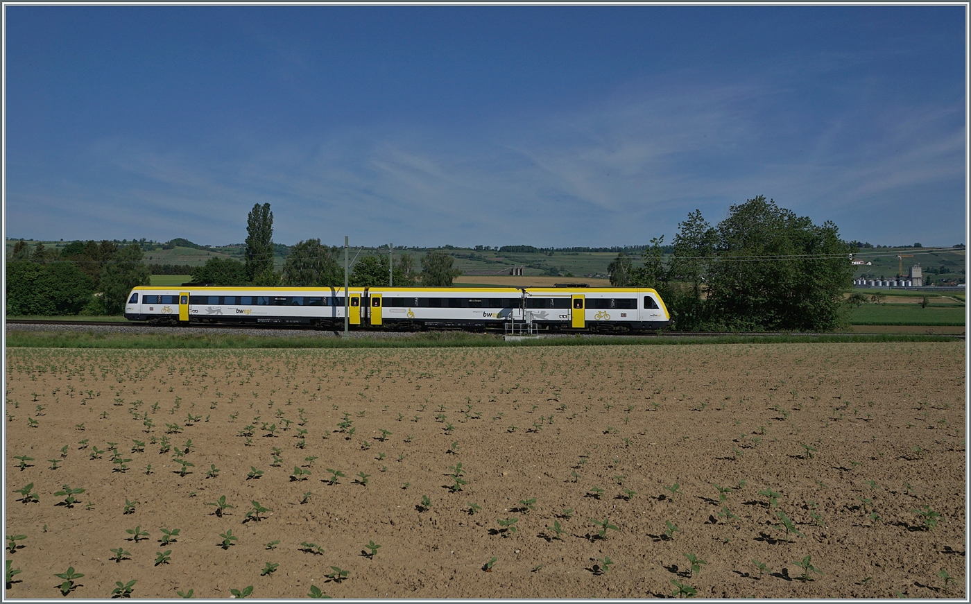 Ein DB 612 fährt bei Wilchingen Hallau durch das Klettgau.

15. Mai 2022