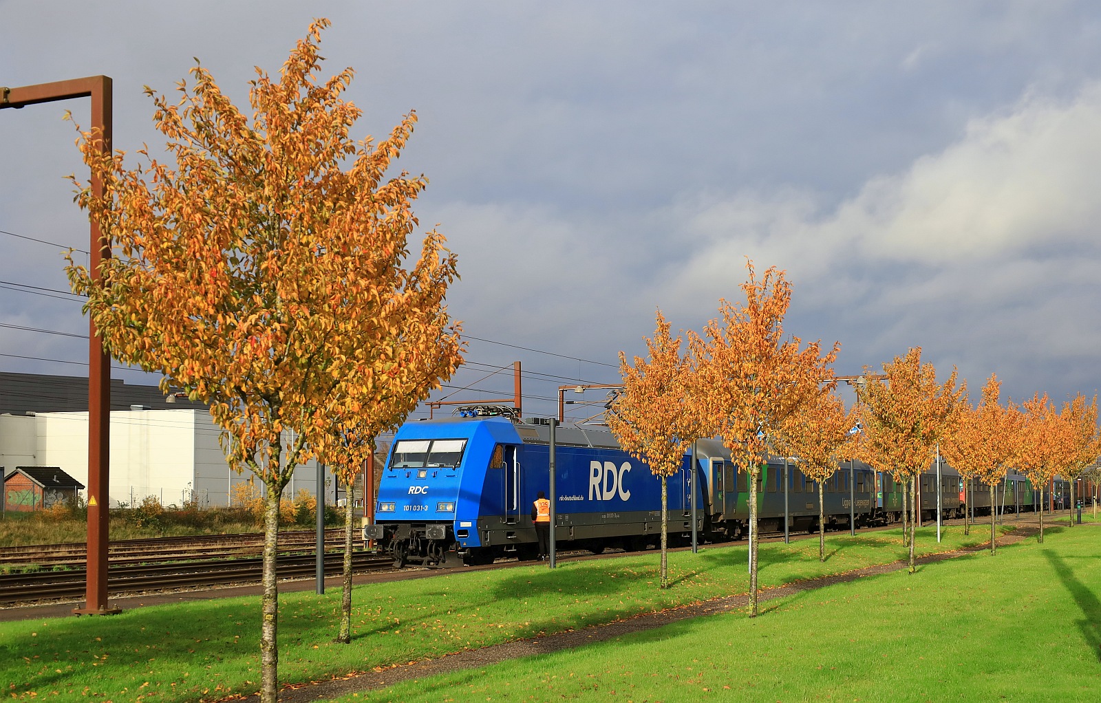 Ein kurzer sonniger Moment und der blaue Schlumpf steht bei grauem Himmel an einer saftig grünen Wiese umrahmt von rostigen Bäumen.....Pattburg/DK 05.11.2023