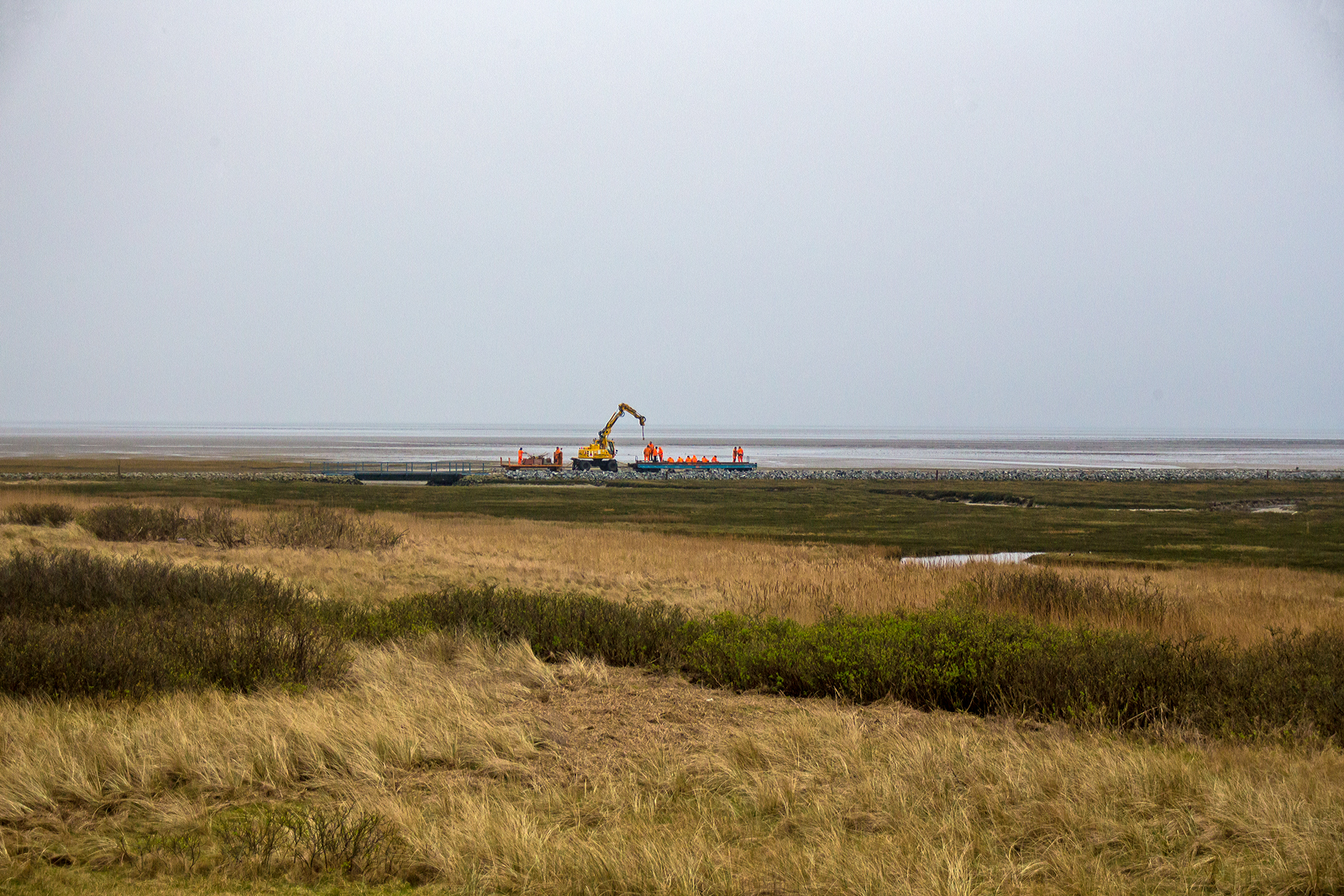Eine Gleisbau-Rotte ist mit einem Meterspur Zweiwegebagger ATLAS 1404 ZW der Kommanditgesellschaft EMS Gleisbau GmbH & Co. und vorgestellten vierachsigen DB-Flachwagen sowie ein Abrollcontainer auf zwei angehangenen Rollschemeln am Nachmittag des 12 März 2024 zu Gleisbauarbeiten, auf der Wangerooger Inselbahn unterwegs. Hier auf dem Steindamm in den Salzwiesen auf halber Strecke zwischen Ort Wangerooge und dem Westanleger.  Das Gleis führt über einen Priel, mehrere Eisenbahnbrücken (wie links) ermöglichen den Tidefluss (auf- und abfließen Gezeiten) im Priel zwischen der Salinenbucht und der Westlagune.

In den Wintermonaten und jetzt im frühen März sind solche Gleisbauarbeiten im Nationalpark Wattenmeer noch möglich, da noch keine Brutzeit ist. Für die Urlauber besteht aber für die Salzwiesen wie auch für die Dünen ein ganzjähriges Betretungsverbot.
