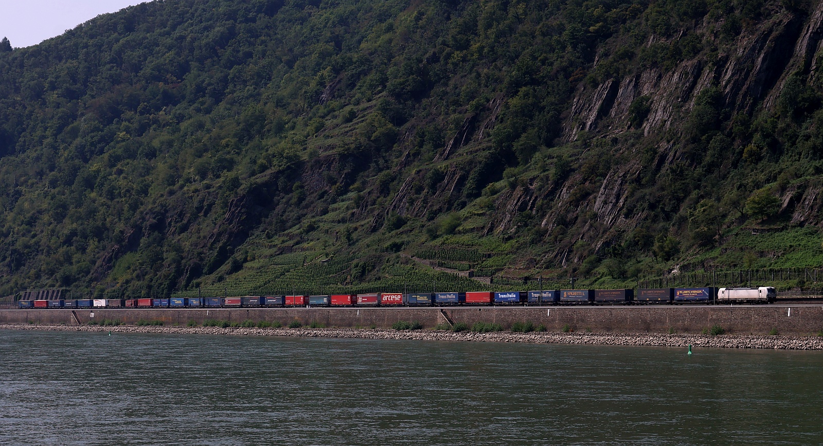 ELOC/??? 193 961-0 mit langem KLV gen Koblenz. Kestert 14.08.2025