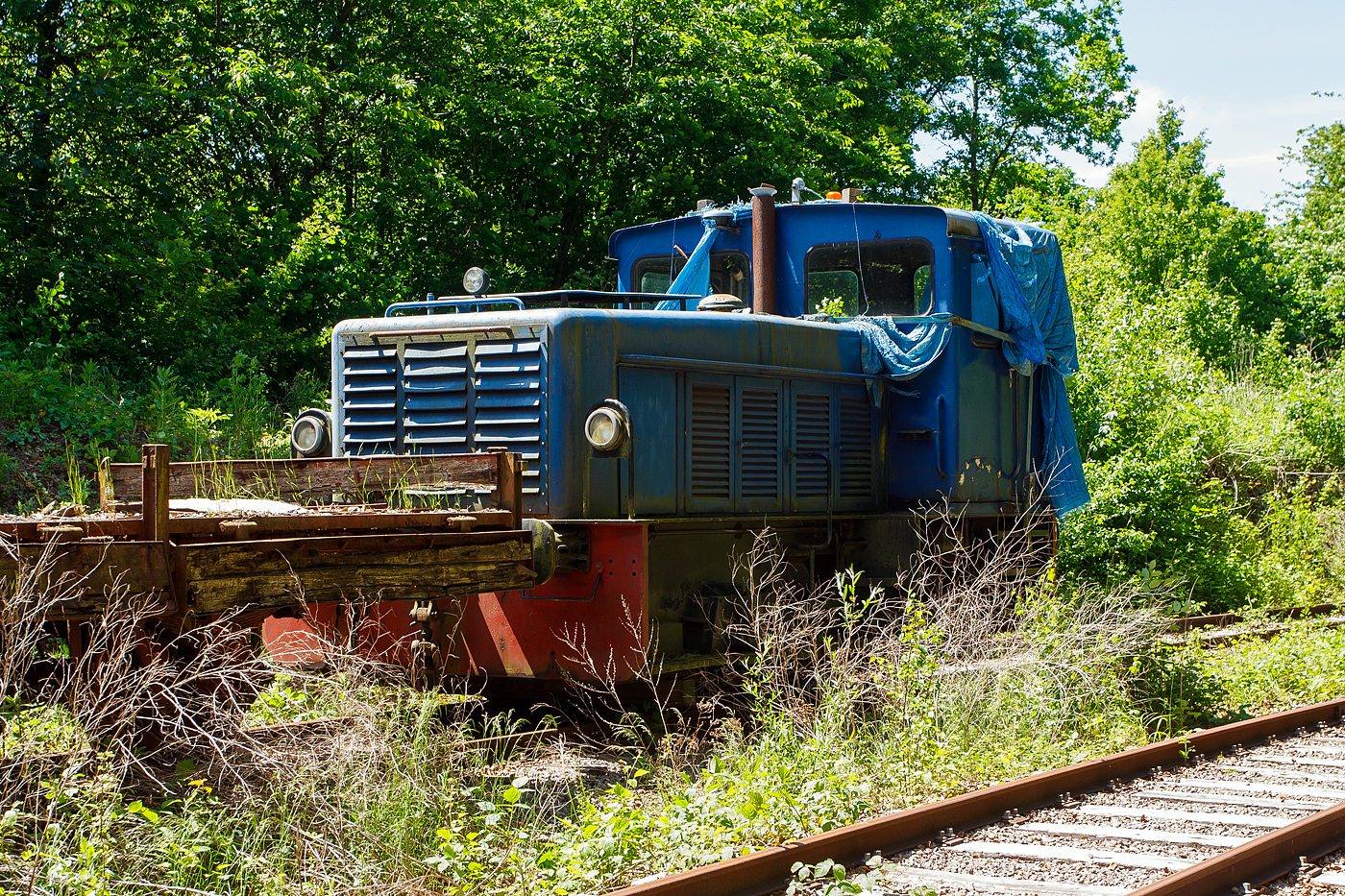Leider schon in einem sehr schlechten Zustand pr�sentierte sich am 16 Juni 2013 die AMTF No 30, ex ARBED 130, ex ARBED 30, AES DH2, eine zweiachsige hydraulische Diesellokomotive vom Typ Jung RC 24 B (R = Regelspur, C = Antrieb �ber Gelenkwellen, 24 = 1/10 der Leistung in PS, B = 2 Achsen), bei der AMTF - Association des Mus�e et Tourisme Ferroviaires a.s.b.l. in Fond-de-Gras.

Die zweiachsige hydraulische Diesellokomotive wurde 1965 von der Arnold Jung Lokomotivfabrik GmbH in Jungenthal bei Kirchen an der Sieg unter der Fabriknummer 13870 gebaut und im Februar 1966 an die Eisenh�tte Arbed Esch-Schifflange AES als DH 2 geliefert. Hier lief sie oft mit ihrer Schwester, Kabine an Kabine, gekuppelt. Bei der Fusion der Lokbetriebe der ARBED (Aci�ries R�unies de Burbach-Eich-Dudelange SA, heute ArcelorMittal) erhielt sie erst die Bezeichnung ARBED 30, sp�ter ARBED 130. Einzeln lief sie dann auch in Belval bis sie �berz�hlig wurden. Nach langen Verhandlungen konnte die AMTF Ende der 1990er Jahre einen ihrer Finanzen entsprechenden Kaufpreis erreichen, und die Lok ging an die AMTF - Association des Mus�e et Tourisme Ferroviaires a.s.b.l. in Fond-de-Gras, wo sie die Nr. 30 bekam. Man musste aber einen Motordefekt feststellen. Zus�tzliche Kosten waren f�r die Austauschteile bei MTU (Mercedes) zu erwarten, doch Mechaniker vom TICE (Transport intercommunal de personnes dans le canton d'Esch-sur-Alzette) haben unentgeltlich gute Arbeit geleistet. Nachdem die meisten Beulen aus der Karosserie ausgebessert waren wurden sie blau gestrichen. Die Leistung der Lok gen�gte aber nicht um einen 3 Wagen Zug die Steigung von P�tange (Petingen) hochzuziehen.

Die Loks:
In den Nachkriegsprogrammen bot Jung ein zweiachsiges Muster f�r Industriebahnen mit unterschiedlichen Motorleistungen an. Die Fahrzeuge wiesen ein endst�ndiges F�hrerhaus und einen halbhohen, schmalen Motorvorbau auf. Die �u�ere Erscheinung des Musters blieb auch bei Umstellung von Ketten- auf Gelenkwellenantrieb weitgehend unver�ndert. Die gr��ten St�ckzahlen erreichten die Typen RK 15 B und RK 20 B (je 20 St�ck) sowie RC 24 B (26 St�ck).

Zur 4. Generation geh�rte die Jung RC 24 B (R = Regelspur, C = Antrieb �ber Gelenkwellen, 24 = 1/10 der Leistung in PS, B = 2 Achsen), eine zweiachsige hydraulische Diesellokomotive f�r den Rangier- und Verschubbetrieb, von denen 26 St�ck zwischen 1963-1976 von der Lokomotivfabrik Jung gebaut wurden. 

Technik:
Die Lokomotiven besitzen einen einfachen Vorbau f�r die Maschinenanlage und einen dahintergelegenen F�hrerstand. Der Maschinenraum war zur Verbesserung der Streckensicht im vorderen Teil abgewinkelt. Der Vorbau hatte T�ren zur Wartung der Maschinenanlage. Im F�hrerhaus befindet sich der F�hrertisch in der Mitte der Vorderwand. Bedienelemente f�r Fahren und Bremsen sind auf beiden F�hrerhausseiten vorhanden. Die Lok besitzt einen Blechrahmen aus Blechwangen mit einer St�rke von 15 mm sowie einer Pufferbohle. Der gesamte Rahmen ist in Schwei�bauweise hergestellt. Das Laufwerk besteht aus zwei mit Blattfedern abgefederten Achsen mit Gleitlagern. Die Federn st�tzen sich oberhalb der Achslager ab. Der Achsstand betr�gt 2.500 mm.

Die Maschinenanlage bestand aus einem wassergek�hlten aufgeladenen 6-Zylinder-Viertakt-Reihendieselmotor vom Typ Daimler-Benz MB 846 A mit einer Leistung von 184 kW (250 PS). �ber das nachgeschaltete Getriebe (Str�mungswendegetriebe) vom Typ Voith RS 18 Z erfolgt die Kraft�bertragung hydraulisch �ber zwei Gelenkwellen auf die beiden Achsgetriebe. 

TECHNISCHE DATEN:
Gebaute Anzahl: 26
Spurweite: 1.435 mm (Normalspur)
Achsordnung: B (2 Achsen)
L�nge �ber Puffer: 6.840 mm
H�he: 3.600 mm
Breite: 2.970 mm
Radstand: 2.500 mm
Dienstgewicht: 30t
Max. Achslast: 15,0 t
Dieselmotor Typ: 6 Zyl. Daimler-Benz MB 846A, 
Motorleistung: 184 kW (250 PS) bei 1.500 U/min
Getriebe: Voith RS 18 Z
Kraft�bertragung: dieselhydraulisch �ber Gelenkwellen auf die Achsen
H�chstgeschwindigkeit: 20 km/h
Kleinster befahrbarer Radius: 35 m
