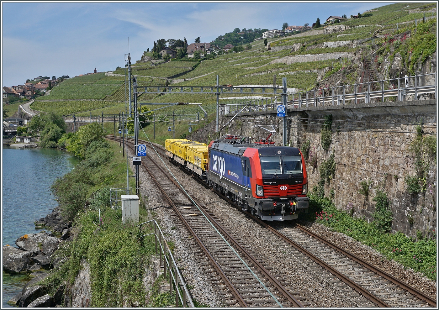 Nach einigen Problemen der Vectron Loks mit dem ETCS und der dadurch erfolgten Umdisponierung der SBB Cargo Vectron Loks auf Nicht-ETCS-Strecken, sind die SBB Cargo Vectron Loks nun vereinzelt wieder auf der Simplonlinie zu sehen, wobei sich die ziemlich neue 193 077 bei Rivaz mit ihren drei Wagen nicht �ber zu viel Arbeit beklagen kann.

19. Mai 2025