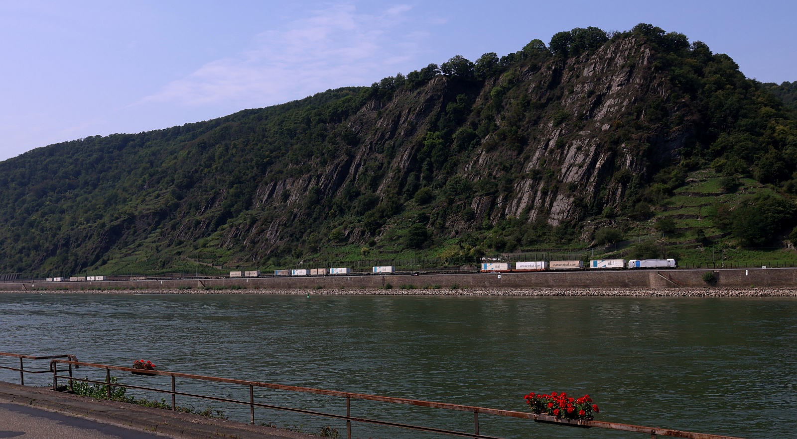 Railpool 193 119-5 mit dem EKOL KLV unterwegs gen Koblenz. Kestert 14.08.2025