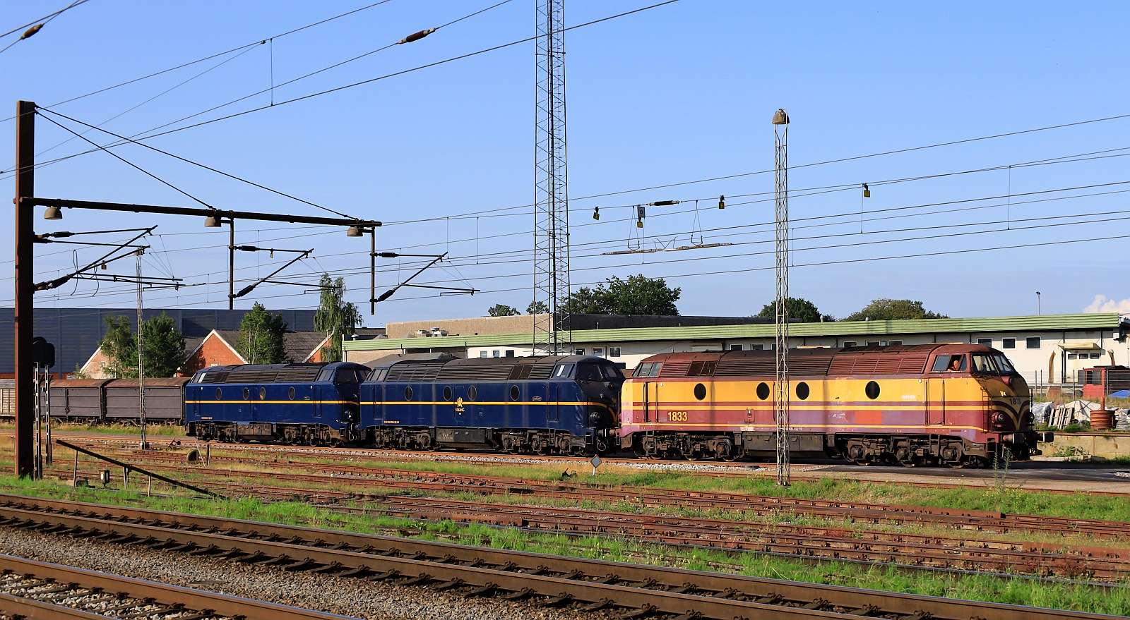 VikingRail 1833 + 1832 und 1831 dieseln hier zur Werkstatt bzw in ihren Abstellbereich. Pattburg 14.07.2023