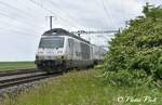 Français  Re 465 016 [Black Pearl]  Ici à Allaman  Le 30 Mai 2016    Allemand  Re 465 016 [Schwarze Perle]  Hier in Allaman  30.