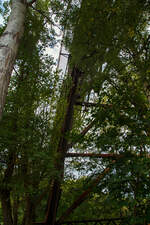 Detailbild der 1906 errichteten Hülsbachtalbrücke in Westerburg (Westerwald), eine 225 m lange Eisenbahnbrücke der ehemaligen Westerwaldquerbahn (ex KBS 425).