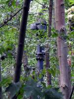 Suchbild für einen Wasserkran im Naturpark Südgelände Berlin, ehemals Verschiebebahnhof Tempelhof, am 05.09.2018.