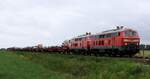 DB 218 831 + 835 mit SyltShuttle nach Nieb�ll. S�dergotteskoog/B� Triangel 14.06.2026