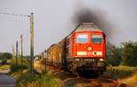 MBU 2014: DB 233 233-6 Sollbr�ck II 17.07.2014