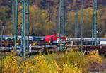 Leider z.Z. nicht besser abzulichten, die an die Spitzke Logistik GmbH vermietete 203 127-6  Frankfurt am Main  (92 80 1203 127-6 D-ALS) der ALS - ALSTOM Lokomotiven Service GmbH (Stendal) steht am 08 November 2025 mit einem Schotterzug beim Rbf Betzdorf/Sieg. Hier werden zurzeit Gleise erneuert. 

Die Diesellok eine DR V 100.1 wurde 1973 von LEW (VEB Lokomotivbau Elektrotechnische Werke „Hans Beimler“, Hennigsdorf) unter der Fabriknummer 13563 gebaut und als DR 112 524-4 an die Deutsche Reichsbahn ausgeliefert. Zum 01.01.1992 erfolgte die Umzeichnung in DR 202 524-5 und zum 01.01.1994 ging sie dann an die DB AG über. Die Ausmusterung bei der DB erfolgte 1998. Im Jahre 1999 ging sie an die SFZ - Schienenfahrzeugzentrum Stendal. Von der ALS - ALSTOM Lokomotiven Service GmbH in Stendal erfolgte dann 2002 der Umbau gemäß Umbaukonzept  BR 203.1  in die heutige 203 127-6. Im Jahr 2007 wurde sie an die LDS GmbH Logistik, Dienstleistungen & Service in Eutin  3  (92 80 1203 127-6 D-LDS) verkauft und 2012 ging sie an die Schweerbau GmbH & Co. KG. Im Jahr 2022 ging sie wieder zurück an die ALS, wo sie nun wieder als Mietlok unterwegs ist.
