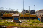 Die 203 314-0 (92 80 1203 314-0 D-DBMP) und die 203 303-3 (92 80 1203 303-3 D-DBMP) der DB InfraGO AG sind am 23 April 2026 beim Bahnhof Fulda abgestellt. Aufnahme aus einen ICE heraus.

Beide V 100.1 wurden 1974 bei LEW (VEB Lokomotivbau Elektrotechnische Werke „Hans Beimler“, Hennigsdorf) gebaut. die 203 314-0 unter der Fabriknummer 14452 und als 110 751-5 an die DR ausgeliefert, die 203 303-3 unter der Fabriknummer 14380 und als 110 679-8 an die DR ausgeliefert.