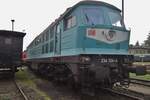 DB Regio 234 304 steht am 23 Mai 2015 ins Bw Nossen.
