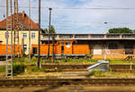 Die ArcelorMittal Lok 61 (98 80 3293 061-8 D-EKO), ex EKO Stahl 61, ex VEB Leuna-Werke »Walter Ulbricht« Nr. 135 (eine V 100.4) steht am 27 Juni 2017 beim Bahnhof Frankfurt (Oder). Aufnahme aus einem IC heraus.

Die V 100.4ost wurde 1992 von LEW  (VEB Lokomotivbau Elektrotechnische Werke „Hans Beimler“ Hennigsdorf)  unter der Fabriknummer 17850 gebaut und als Lok 135 an den VEB Leuna-Werke »Walter Ulbricht« in Leuna geliefert hier war sie bis ca. 1998 bei der Nachfolgegesellschaft IL - InfraLeuna Infrastruktur- und Service GmbH. Dann wurde sie von der Regental Fahrzeugwerkstätten GmbH in Reichenbach (Vogtland), gemäß Umbaukonzept BR 293 der ABB Daimler Benz Transportation GmbH umgebaut und im Januar 1999 an die EKO Transportgesellschaft mbH in Eisenhüttenstadt als Lok 61 - 98 80 3293 061-8 D-EKO (EKO Stahl, ex Eisenhüttenkombinat Ost, ex Eisenhüttenkombinat „J. W. Stalin“, heute ArcelorMittal Eisenhüttenstadt GmbH) geliefert. 2011 erfolgte die Umfirmierung in ArcelorMittal Eisenhüttenstadt Transport GmbH.
