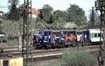 111 030-3 mit Werbung:  Tanz der Vampire  in Ulm am 30.04.2002.