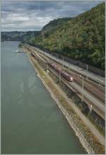 Leider kamen  nur  zwei Quitschies, als wir �ber den Rhein gondelten.